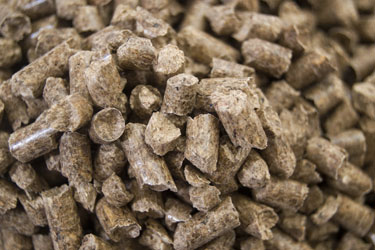Biomass